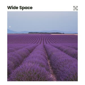 Wide Space - Cricket Sounds