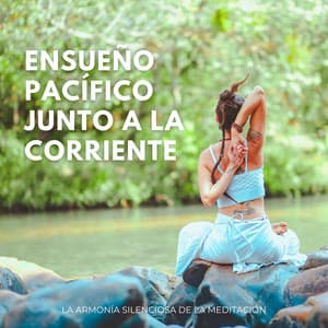 Ensueño Pacífico Junto A La Corriente: La Armonía Silenciosa De La Meditación - La Naturaleza Del Sueño