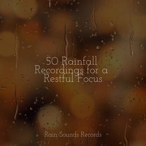 50 Rainfall Recordings for a Restful Focus - Sonidos de la Naturaleza Relajacion