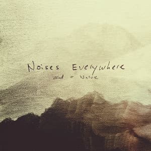 Noises Everywhere: Wind & Nature - Adam Bokesch