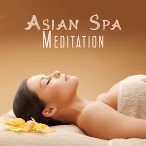 Asian Spa Meditation: Wellbeing for Body and Mind, Spa Massage Relaxation, Nature Sounds for Spa - Pure Massage for Life Universe