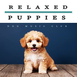 Relaxed Puppies - Dog Music Club