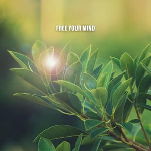 Free Your Mind - River Sounds