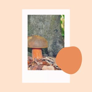 Backdrop for Refreshing Spring - Jazz Lounge Bar Relaxing