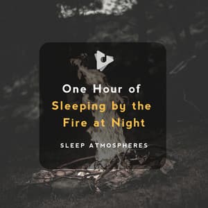 1 Hour of Sleeping by the Fire at Night - Deep Sleep ASMR