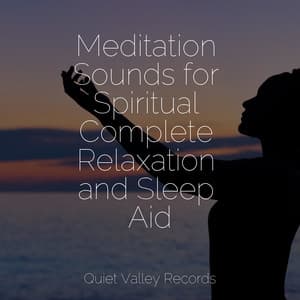 Meditation Sounds for Spiritual Complete Relaxation and Sleep Aid - Rain Sounds & Nature Sounds
