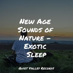 New Age Sounds of Nature - Exotic Sleep - Lightning