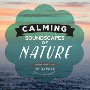 Calming Soundscapes of Nature - The Calming Sounds Of Nature