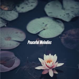 Peaceful Melodies - Relaxing Instrumental Jazz