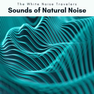 1001 Sounds of Natural Noise - The White Noise Travelers