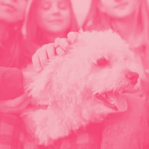 Quintet Jazz - Relaxing Music for Dogs