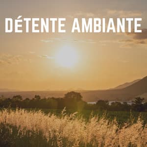 Détente Ambiante - Detente Spa Musique Collection