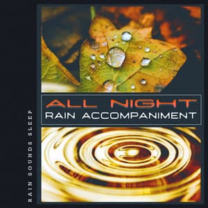 All Night Rain Accompaniment - Rain Sounds Sleep