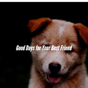 Good Days for Your Best Friend - Dog Separation Anxiety Music