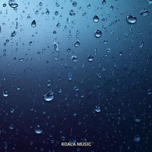 Night Rain - Rain Sounds