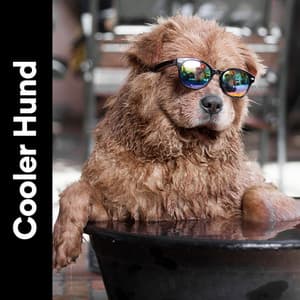 Cooler Hund - Hundemusik