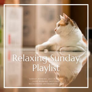 Relaxing Sunday Playlist - Sunday Morning Jazz Playlist