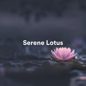 Serene Lotus - Background Music Experience