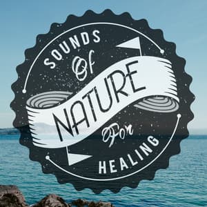 Sounds of Nature for Healing - The Healing Sounds of Nature