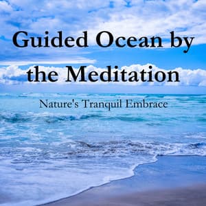 Guided Ocean by the Meditation: Nature's Tranquil Embrace - Waves Of Time