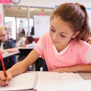 Cascading Knowledge: Waterfall Study Harmony with Crystal Singing Bowl - Waterfall Sound