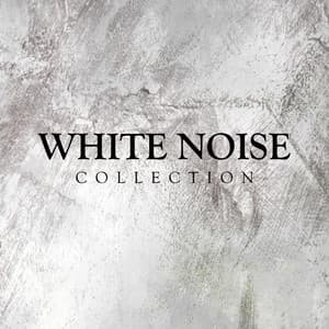 White Noise - Background Noise From TraxLab