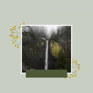 Playful - Relax Music Therapy - 1 Hour Spa Music