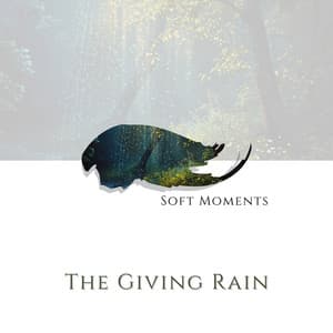 The Giving Rain - Kundalini: Yoga, Meditation, Relaxation