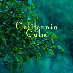 Calming Rain And Tones - California Calm