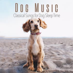 Dog Music: Classical Songs for Dog Sleep Time - Dog Music Zone