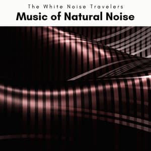 A Music of Natural Noise - The White Noise Travelers
