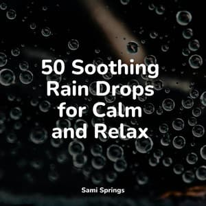 50 Soothing Rain Drops for Calm and Relax - Rain