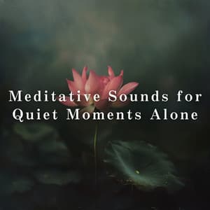 Meditative Sounds for Quiet Moments Alone - Relaxing BGM Project