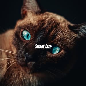 Sweet Jazz - Coffee Bossa Nova Classics