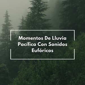 Momentos De Lluvia Pacífica Con Sonidos Eufóricos - Lluvia de Berlín