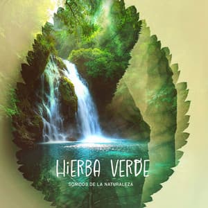 Hierba Verde - Sonidos de la Naturaleza