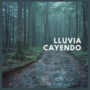 Lluvia Cayendo - Lluvia Del Bosque