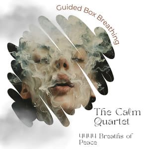 The Calm Quartet: 4444 Breaths of Peace - Guided Box Breathing