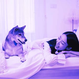 Music for Stress Free Doggos - Calming for Dogs