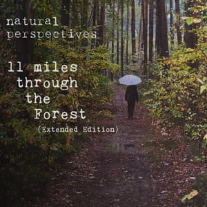 11 Miles Through the Forest - Natural Perspectives