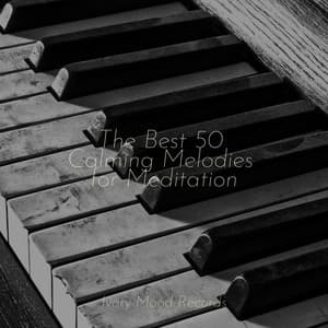 The Best 50 Calming Melodies for Meditation - Ivory Mood