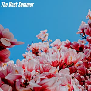 The Best Summer - Chill Vibes