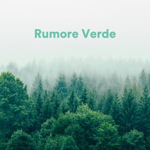 Rumore Verde - Rumore Bianco