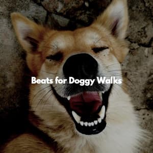 Beats for Doggy Walks - Chillout Jazz