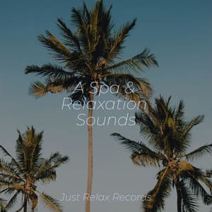 A Spa & Relaxation Sounds - Musica de Relajación Academy