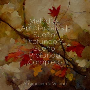 Melodías Ambientales | Sueño Profundo Y Sueño Profundo Completo - Musica Relajante