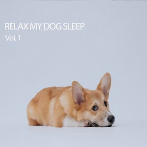 Relax My Dog Sleep Vol. 1 - Dog Calming Music