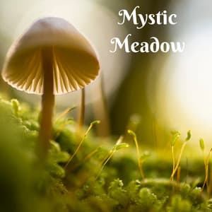 Mystic Meadow - Masala Roo