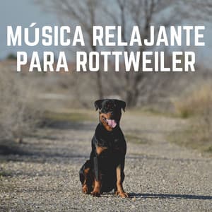 Música Relajante para Rottweiler - Mascotas tranquilas