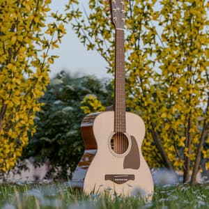 50 Nature-Inspired Melodies: Elements - Baltic Nature Sounds